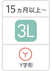 15ヵ月以上〜 3L Y字形