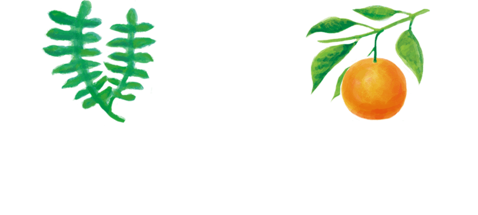 サガラメエキス(海藻由来) x マンダリンオレンジ果皮エキス(オレンジ由来)